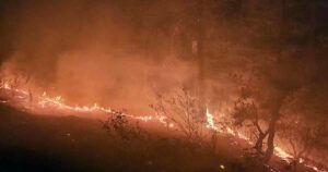 Forest Fire In Uttarakhand New Tourists Returned Disappointed Without Doing Boating And Paragliding
