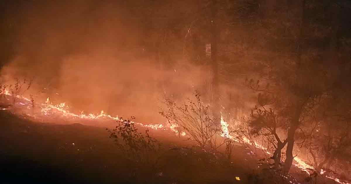Forest Fire In Uttarakhand New Tourists Returned Disappointed Without Doing Boating And Paragliding