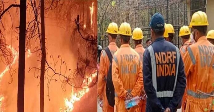 uttarakhand-fire-in-jungle- NDRF