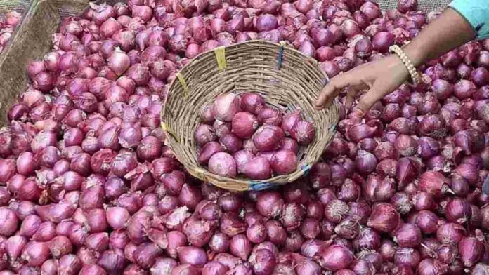 Onion Export