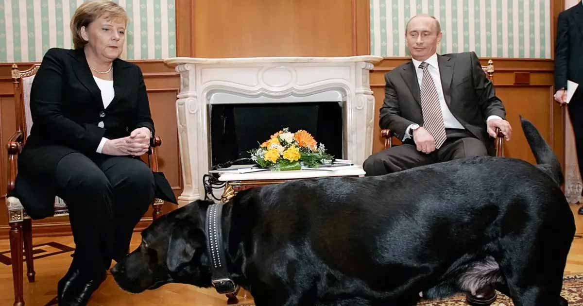 -russian-president-vladimir-putin-denies-he-tried-to-frighten-merkel-with-dog-koni