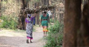 বন অধিকার সেলে বড় সংস্কার আনছে কেন্দ্রীয় আদিবাসী বিষয়ক মন্ত্রণালয়