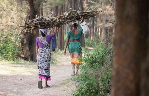বন অধিকার সেলে বড় সংস্কার আনছে কেন্দ্রীয় আদিবাসী বিষয়ক মন্ত্রণালয়