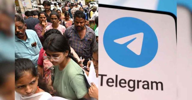 TelegramNeet
