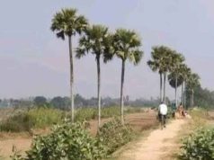 ভারতে প্রথমবারের মতো প্রতিটি গ্রামের রাস্তা কোড করা হবে