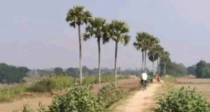 ভারতে প্রথমবারের মতো প্রতিটি গ্রামের রাস্তা কোড করা হবে