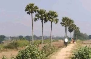 ভারতে প্রথমবারের মতো প্রতিটি গ্রামের রাস্তা কোড করা হবে