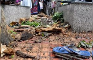 এসএসকেএম চত্বরে ভেঙে পড়ল বিশালাকার গাছের ডাল, মৃত এক, জখম দুই