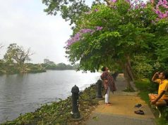 রবীন্দ্র সরোবরের সারাবছর রক্ষণাবেক্ষণের জন্য নতুন এসওপি আনছে কেএমডিএ