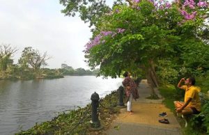 রবীন্দ্র সরোবরের সারাবছর রক্ষণাবেক্ষণের জন্য নতুন এসওপি আনছে কেএমডিএ