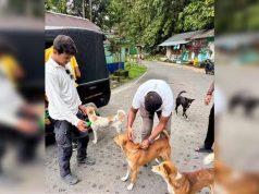 বক্সায় বাঘ ফেরানোর তোড়জোড়, বন্যপ্রাণ রক্ষায় বিশেষ টিকাকরণ অভিযান