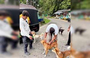 বক্সায় বাঘ ফেরানোর তোড়জোড়, বন্যপ্রাণ রক্ষায় বিশেষ টিকাকরণ অভিযান