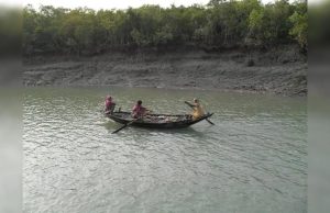 সুন্দরবনের পরিবেশ রক্ষায় বিধবাদের লড়াইয়ের ভূয়সী প্রশংসা মোদীর