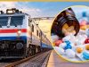 Railway New Rule: ট্রেনে চার্জার বা ওষুধ আনতে ভুলে গেছেন? সমস্যা দূর করতে নতুন পরিষেবা আনল রেল